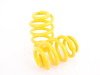 ES#2619505 - 25310056 - KW H.A.S. - Adjustable Coilover Spring System - Retains the use of your factory equipped dampening system while providing the ability to adjust ride height - KW Suspension - Audi