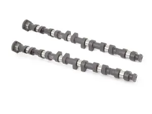 Schrick Camshaft Set - 256/264 Degree