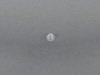 ES#77495 - 51131916449 - Grommet - 6.8mm diameter - Genuine BMW - BMW