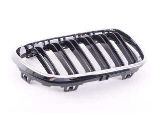 ES#3110022 - 51138064144 - Grille - Front - Right - Genuine BMW - BMW
