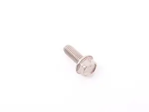 SCREW