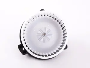 Blower Motor