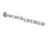 ES#3060277 - 0261A1561-DV0 - Schrick Exhaust Camshaft - Schrick exhaust camshaft - Schrick - BMW