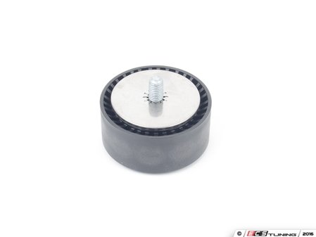 ES#3183959 - 11287615130 - Accessory Belt Idler Pulley - The solution to a noisy, failing pulley - Ina - BMW
