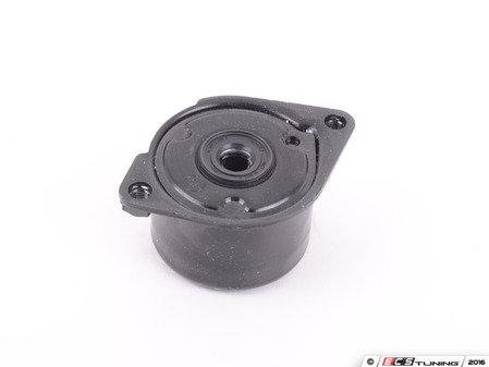 ES#3194778 - 11287786880 - Belt Tensioner Assembly - Controls the tension of the serpentine belt. - Ina - BMW