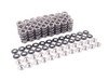 ES#3036327 - TMS11760 - Supertech High Performance Valve Spring Set - E46 M3 Z3M Z4M - Performance valve springs for S54 engines. - Supertech - BMW