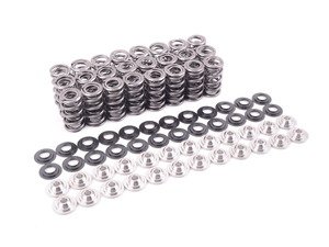 ES#3036327 - TMS11760 - Supertech High Performance Valve Spring Set - E46 M3 Z3M Z4M - Performance valve springs for S54 engines. - Supertech - BMW
