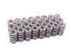 ES#3036327 - TMS11760 - Supertech High Performance Valve Spring Set - E46 M3 Z3M Z4M - Performance valve springs for S54 engines. - Supertech - BMW