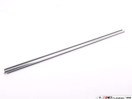 ES#2714475 - 51337280294 - OUTER WEATHERSTRIP, RIGHT - Genuine BMW - BMW