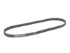 ES#3145391 - 06L903137A - Accessory Belt - Replaces your cracked or worn belt - Continental - Audi Volkswagen