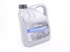 ES#3142242 - CVCAECOKT -  Economy Oil Service Kit - Includes Hengst oil filter and Vaico 5w-30 oil - Assembled By ECS - Audi Volkswagen