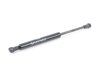 ES#2710203 - 1H5827550B - Rear Trunk Strut - Supports trunk when open - Meyle - Volkswagen