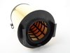 ES#3148227 - 1F0129620 - Air Filter - Replacement air filter for your VW. - Hengst - Volkswagen