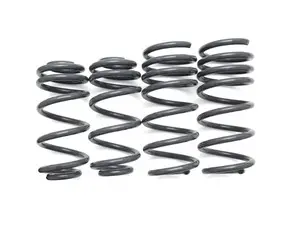 Dynamic+ Performance Lowering Springs