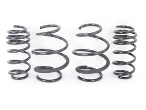 ES#2843608 - NM.558846 - RS-Alpha Spring Set F55, F56, F67  - Lowering springs with a progressive rate - NM Engineering - MINI