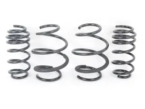 RS-Alpha Spring Set F55, F56, F67 