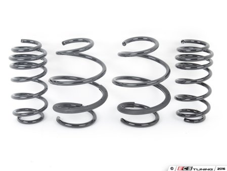 ES#2843608 - NM.558846 - RS-Alpha Spring Set F55, F56, F67  - Lowering springs with a progressive rate - NM Engineering - MINI