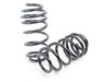 ES#2843608 - NM.558846 - RS-Alpha Spring Set F55, F56, F67  - Lowering springs with a progressive rate - NM Engineering - MINI