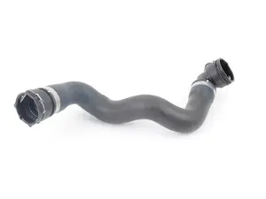 Radiator Hose - Lower