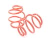 ES#2805446 - 33502361197 - JCW Pro Sport Suspension Kit - Adjustable red spring sport Coilover kit. - Genuine MINI - MINI