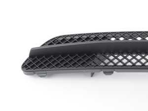 ES#2225421 - 51117263119 - GRID, BUMPER FRONT - Genuine BMW - BMW