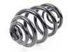 ES#2915128 - 33536760606 - Rear Coil Spring - Replace your cracked springs - Mubea - BMW
