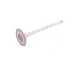 ES#2640077 - 06K109601 - Intake Valve - Priced Each  - A sodium filled valve - Genuine Volkswagen Audi - Volkswagen