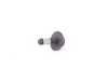 ES#3221503 - 51652587911 - Screw - Priced Each - Screw used in various parts of the body trim - Genuine MINI - BMW