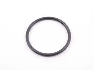 Water Pump O-Ring