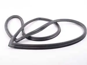 Windshield Seal