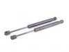 ES#2765536 - 3B5827550GKT -  Hood And Trunk Strut Kit - Gas strut kit for the front and rear of your car - Stabilus - Volkswagen