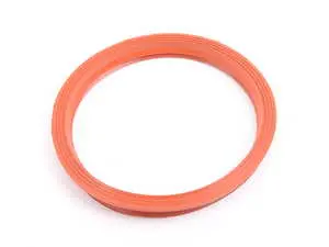 In-Tank Fuel Pump Gasket 
