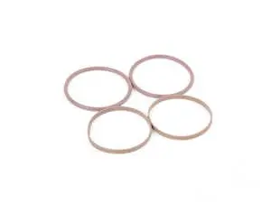 ECS M62TU Vanos Seal Rebuild Kit