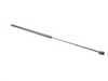 ES#3218915 - 4F0823359A - Hood Strut - Keep your hood propped - URO - Audi