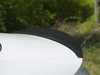 ES#3141741 - 019220ECS01A - Carbon Fiber Trunk Spoiler - Audi B9 A4/S4 - Add a touch of style and real carbon fiber to your Audi - ECS - Audi