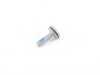 ES#72795 - 41617065161 - SCREW - Genuine BMW - BMW