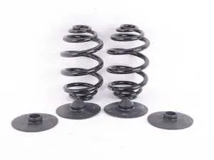 Rear Spring Replacement Kit 