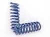 ES#3148935 - D100-0912 - Performance Spring Set - Civilized performance for the discerning enthusiast - Dinan - BMW