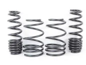 Sport Spec-R Springs - E9X 335 1