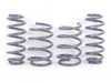 ES#3187661 - 034-404-1000 - Dynamic+ Performance Lowering Springs  - Engineered to improve handling and deliver superb ride quality - Average lowering of .75" front & rear. - 034Motorsport - Audi