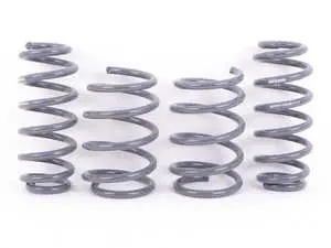 Dynamic+ Performance Lowering Springs 