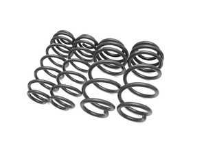 ES#3247677 - 034-404-1002 - Dynamic+ Performance Lowering Springs - Engineered to improve handling and deliver superb ride quality! - 034Motorsport - Audi
