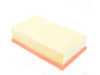 ES#2996778 - 5Q0129620B - Engine Air Filter - Keep your engine breathing fresh air - Mann - Audi Volkswagen
