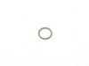 ES#2817623 - 16117428463 - O-Ring for Fuel Pump Assembly with Fuel Level Sending Unit - Genuine BMW - BMW