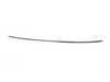 ES#2210520 - 51137230373 - ROOF MOLDING LEFT - Genuine BMW - BMW
