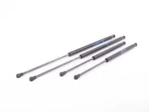 Hood And Trunk Strut Kit