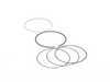 ES#2803568 - 11251403810 - E36 M3 Piston Ring Set (86.020 mm, Standard) - One Cylinder - Standard bore replacement piston rings - Rein - BMW