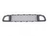 ES#2101953 - 51117289990 - Bumper Lower Grille Black - Replace your stone chipped grille on your MINI - Genuine MINI - MINI