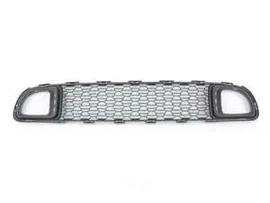 Bumper Lower Grille Black