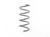 ES#1727650 - 2033214404 - Front Coil Spring - Priced Each - Four (4) red paint markings, fits left or right side - Genuine Mercedes Benz - Mercedes Benz